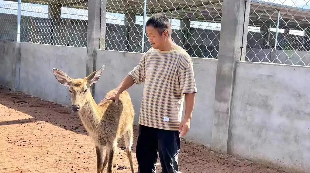 捕鱼赢钱10元提现